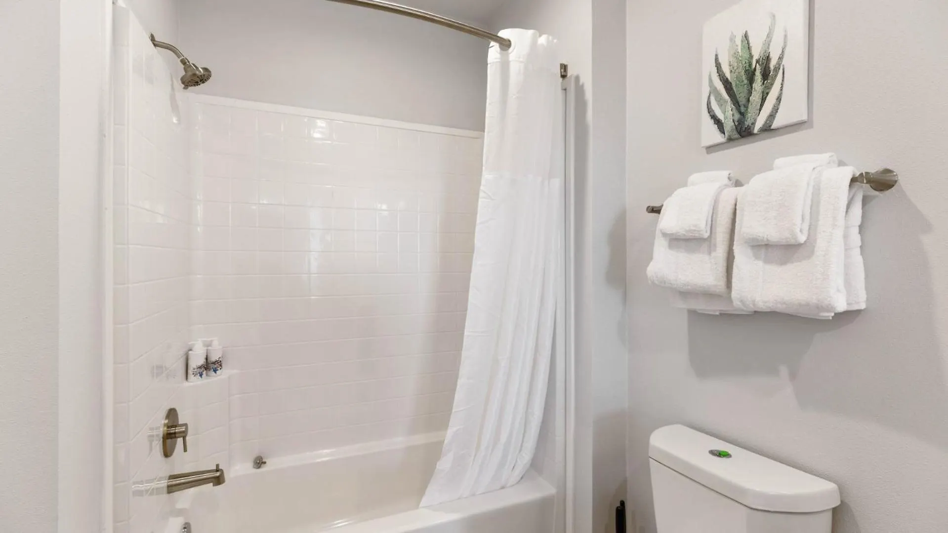 Apartment Luxury 1 Bedroom 1Bath Convention Center Seattle